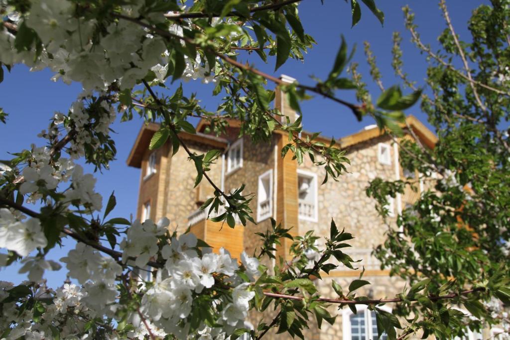 Hotel Le Palais Des Cerisiers Azrou Exteriér fotografie